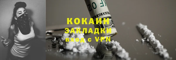 твердый Арсеньев