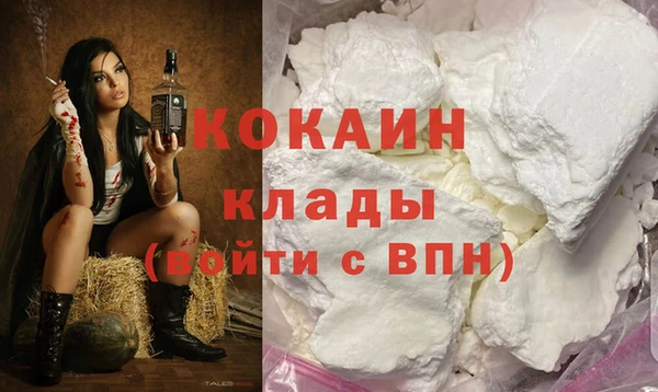 твердый Арсеньев