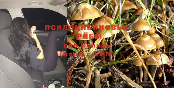 ALPHA-PVP Армянск