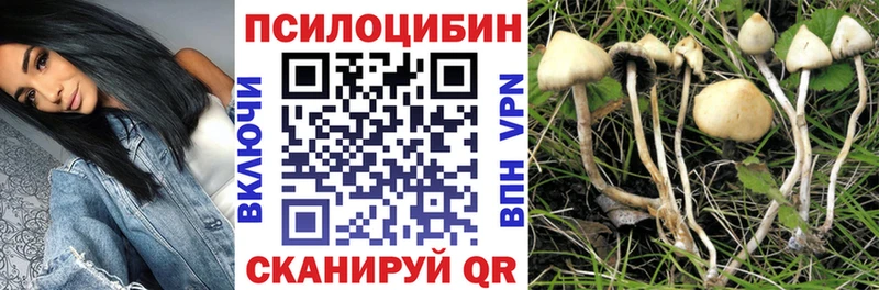 Псилоцибиновые грибы мухоморы  Купить где  Вуктыл 